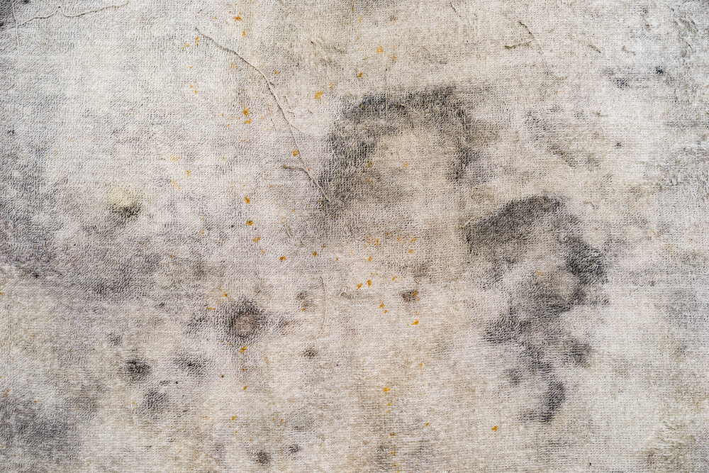 Time to Replace Your Old Carpet